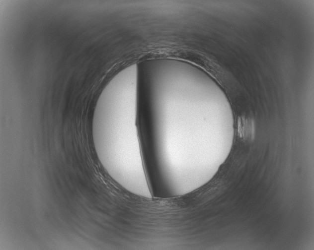 X0000078871155200611131021