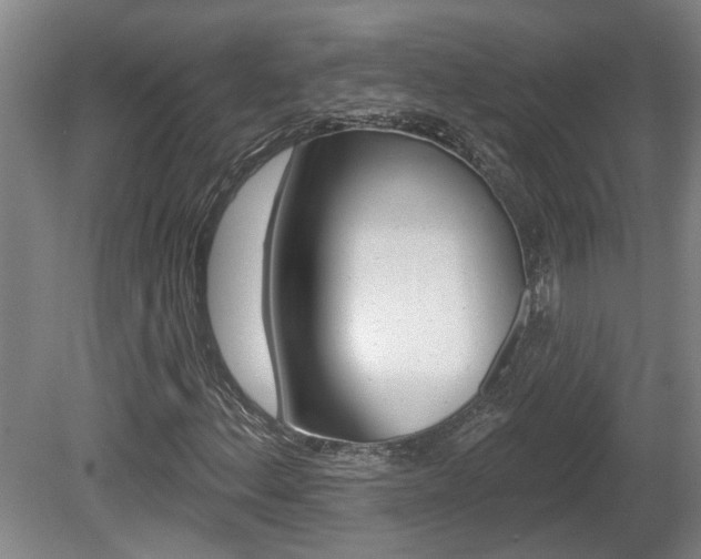 X0000078871156200611131021
