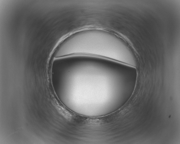 X0000078871168200611131020