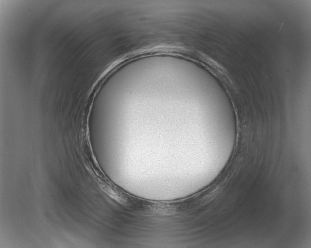 X0000078871170200611131020