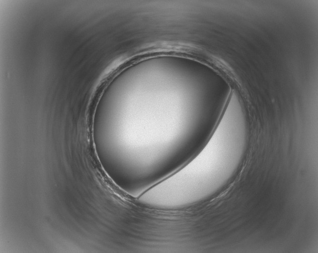 X0000078871172200611131020