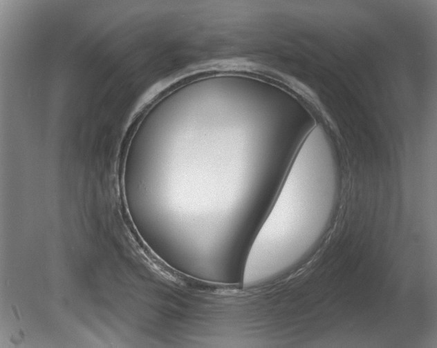 X0000078871176200611131020
