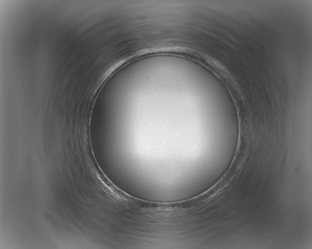 X0000078871177200611131020