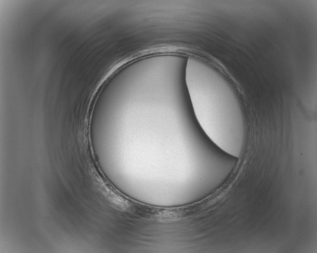 X0000078871178200611131020