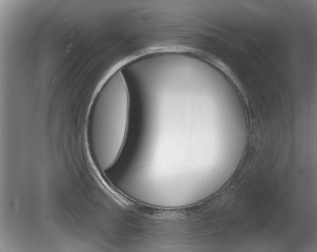 X0000078871187200611131020