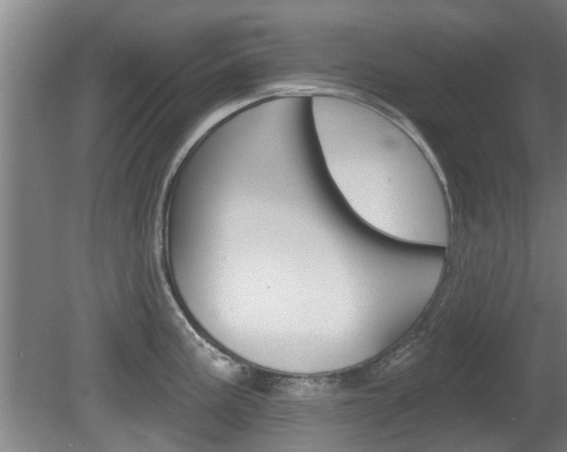 X0000078871195200611131020
