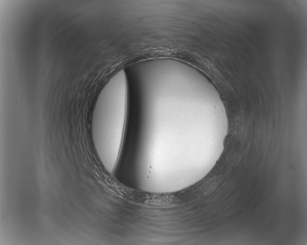 X0000078871201200611131019