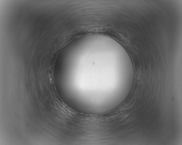 X0000078871202200611131019