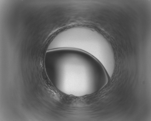 X0000078871206200611131019
