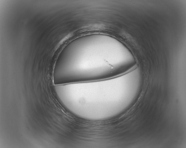 X0000078871210200611131019