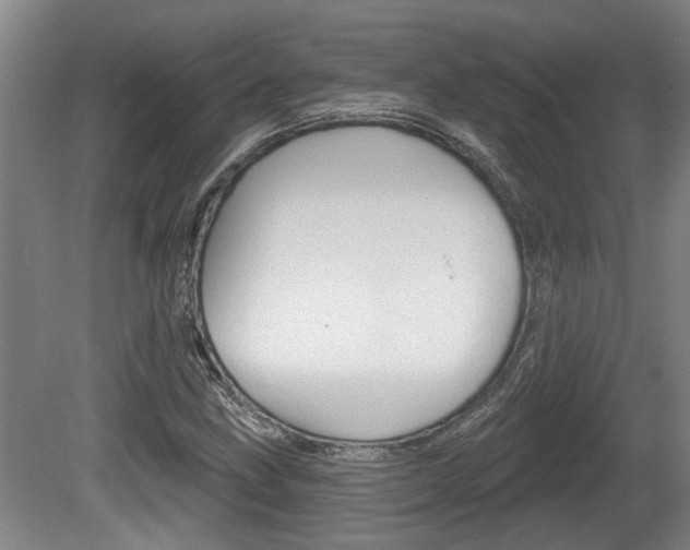 X0000078871211200611131019