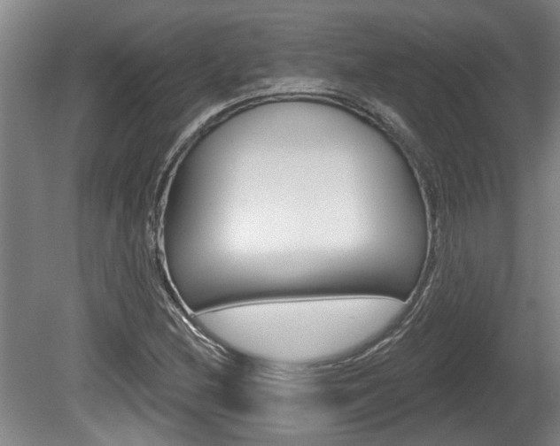 X0000078871212200611131019