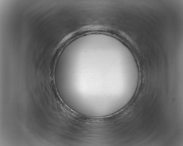 X0000078871213200611131019