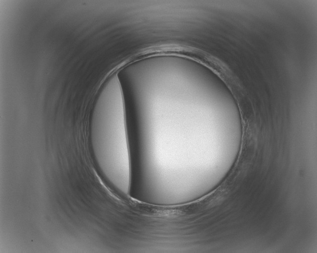 X0000078871225200611131019