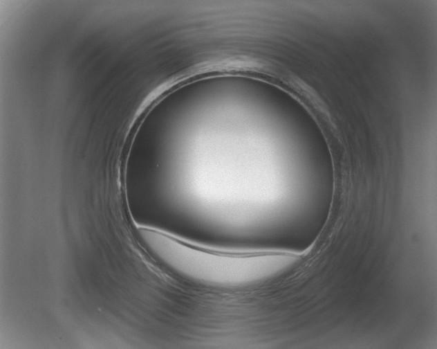 X0000078871226200611131019