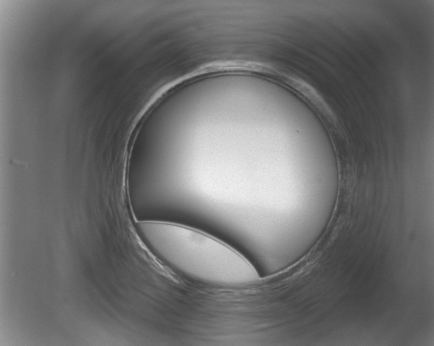 X0000078871228200611131019