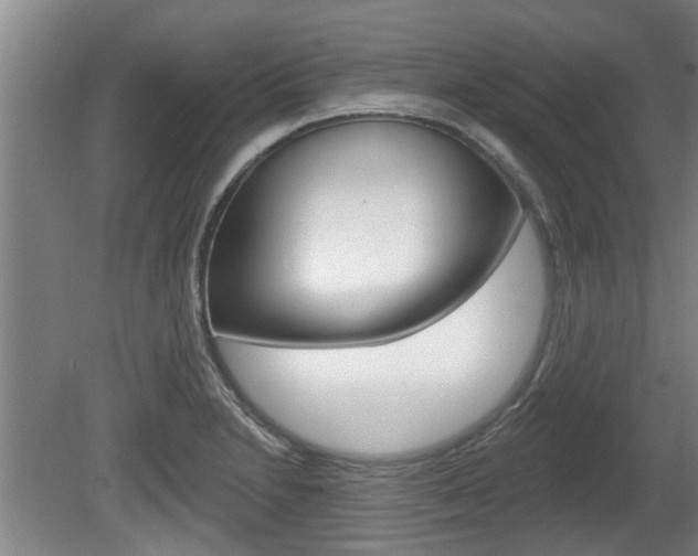 X0000078871230200611131019
