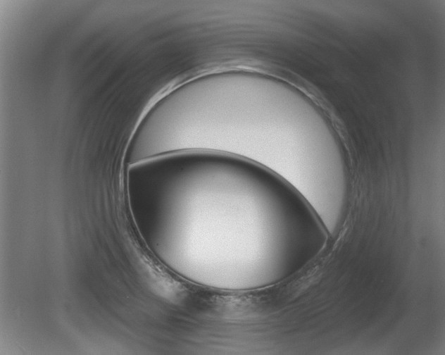 X0000078871234200611131020