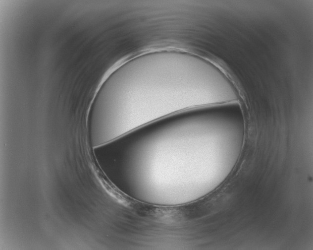 X0000078871242200611131020