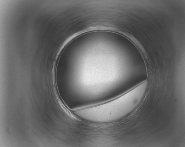 X0000078871246200611131020