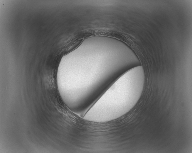 X0000078871252200611131019