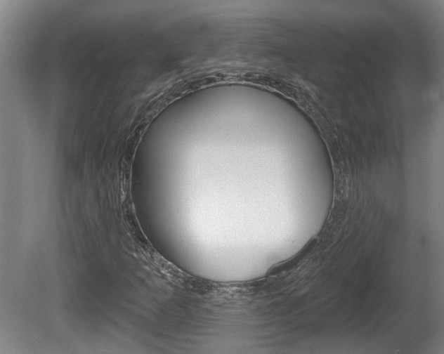 X0000078871253200611131019