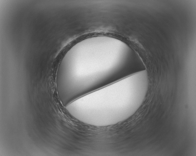 X0000078871256200611131019