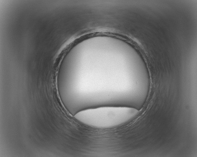 X0000078871263200611131019