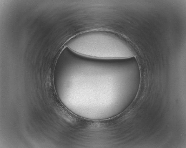 X0000078871265200611131019