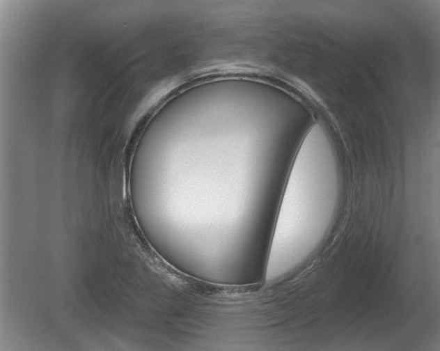 X0000078871269200611131019