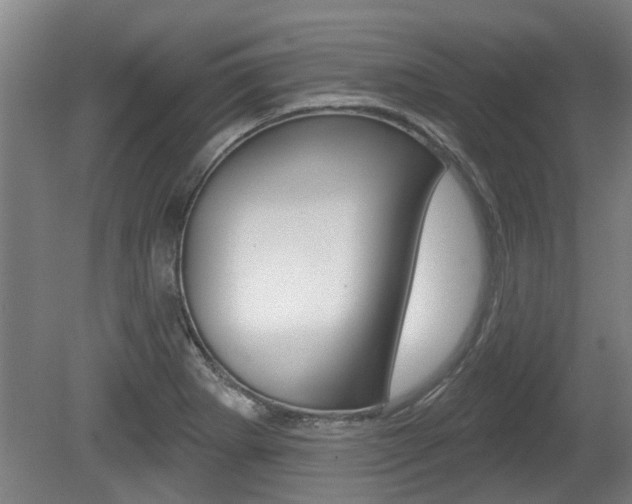 X0000078871273200611131019