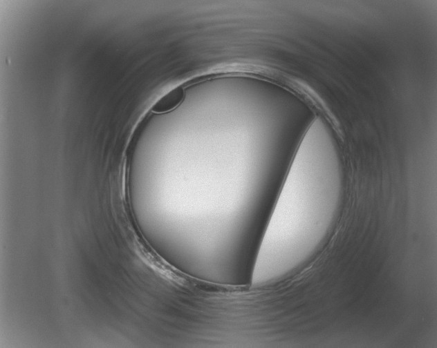 X0000078871276200611131019