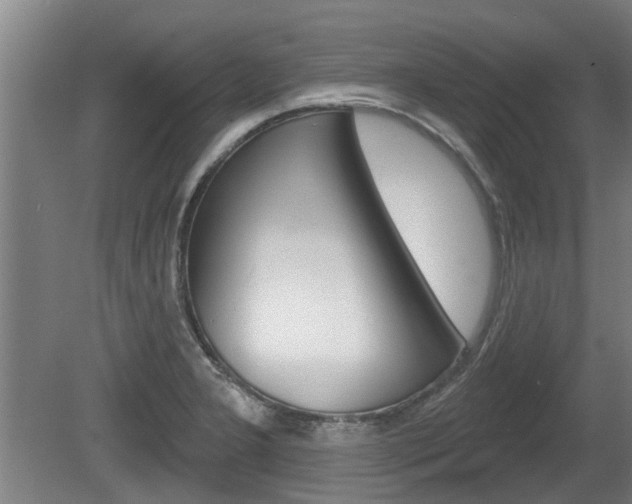 X0000078871277200611131018