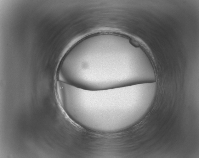 X0000078871287200611131018