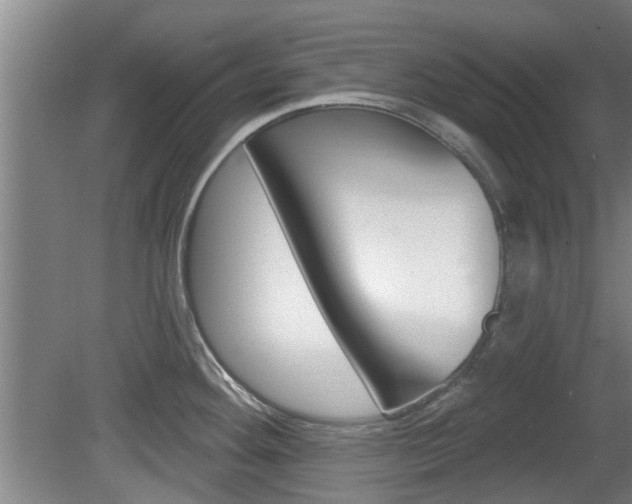 X0000078871292200611131018