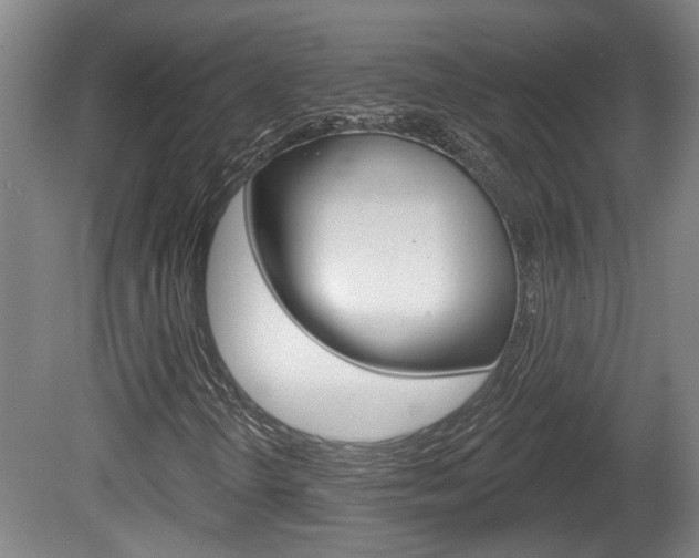 X0000078871298200611131017