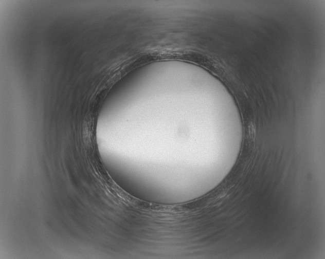 X0000078871300200611131017