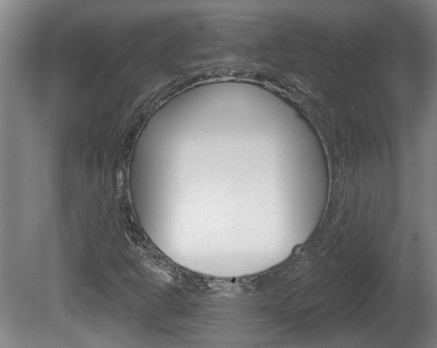 X0000078871302200611131017