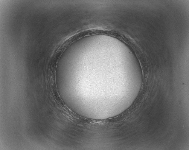 X0000078871303200611131017