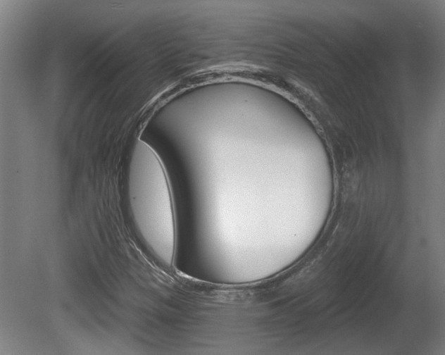 X0000078871305200611131018