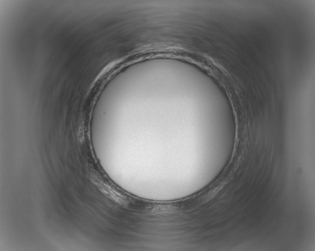 X0000078871306200611131018