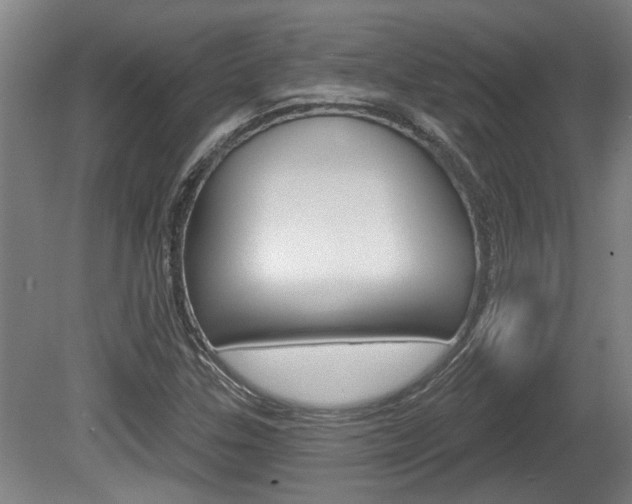 X0000078871307200611131018