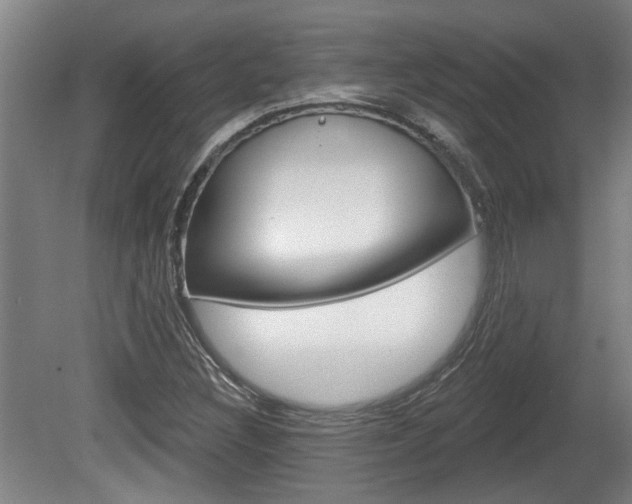 X0000078871308200611131018