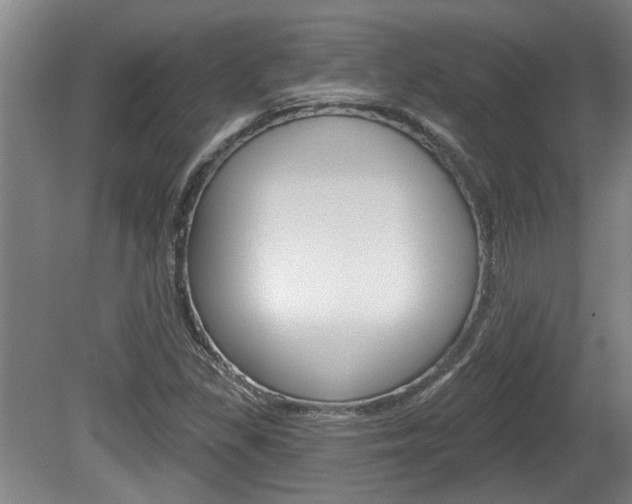 X0000078871309200611131018