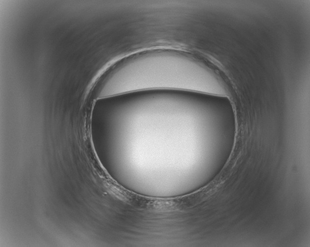 X0000078871310200611131018