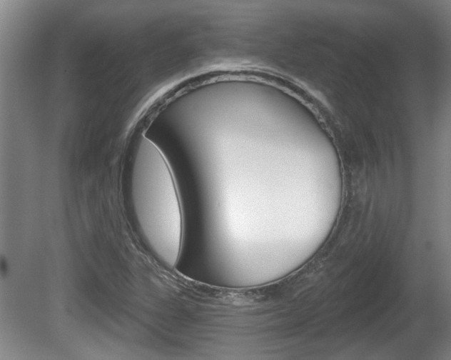 X0000078871311200611131018