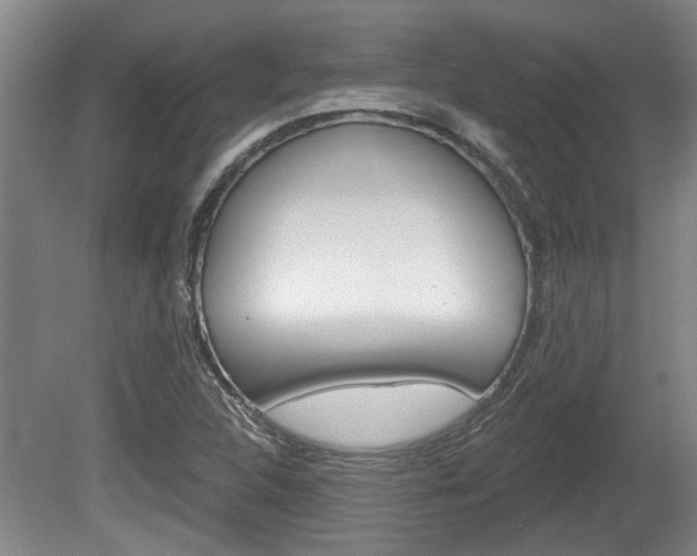 X0000078871312200611131018
