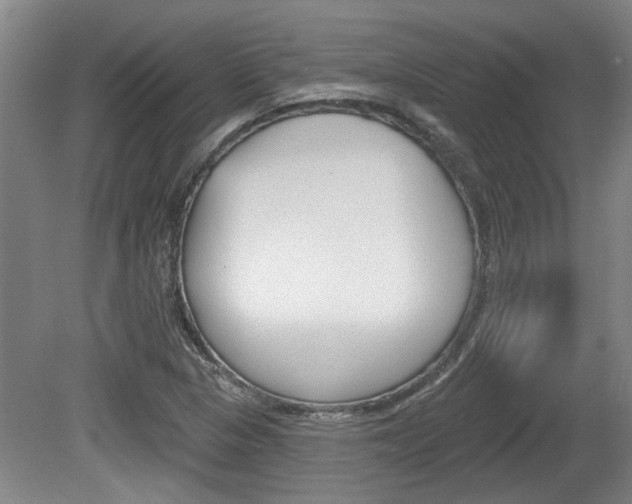 X0000078871313200611131018