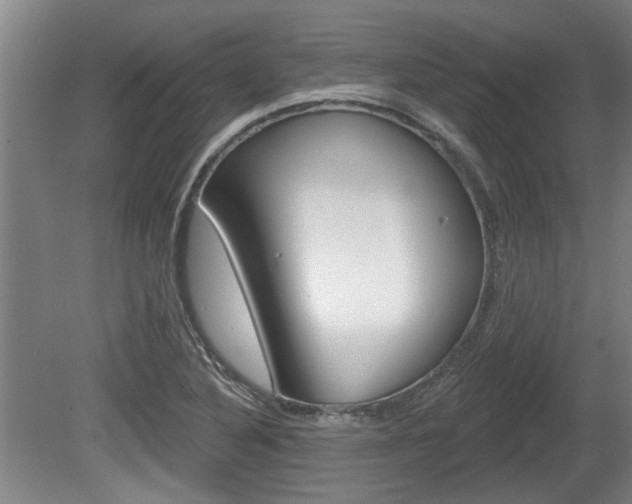 X0000078871316200611131018