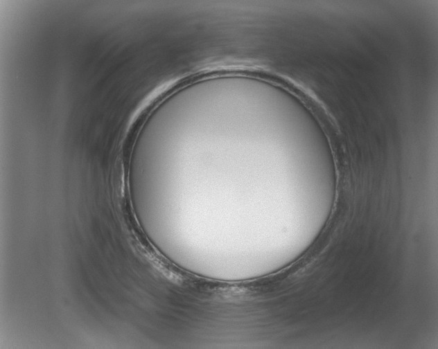 X0000078871317200611131018